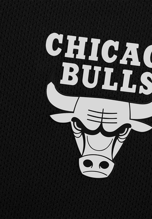 NBA Front Print - Regular Fit Shorts - Chicago Bulls