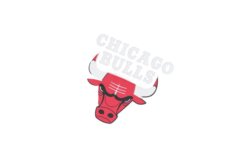 NBA BASICS PRIMARY LOGO T-SHIRT - CHICAGO BULLS BLACK