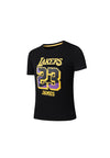 NBA Loose Fit Rubber Print Mens T-shirt - James Los Angeles Lakers