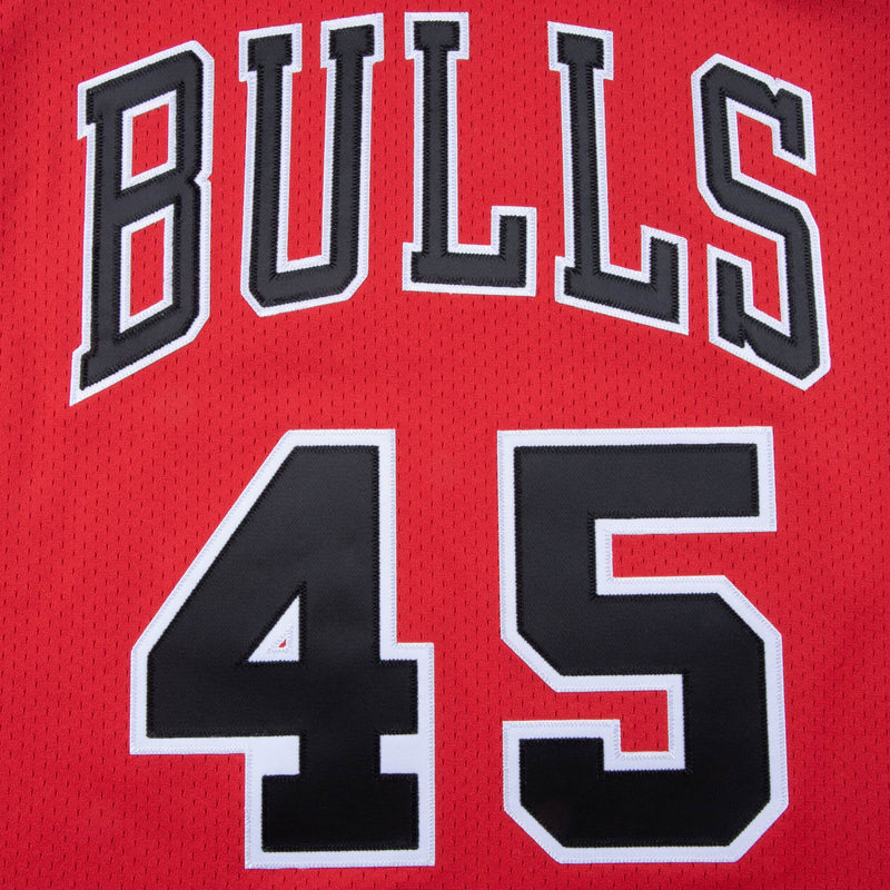 Authentic Jersey Chicago Bulls 1994-95 Michael Jordan